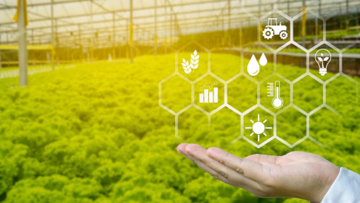 ERP and Farmers: Turning Data into Better Harvests